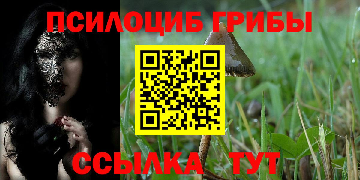Псилоцибиновые грибы мухоморы  Вход с VPN  Малгобек 